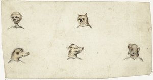 Cabeças de quatro animais e um esqueleto