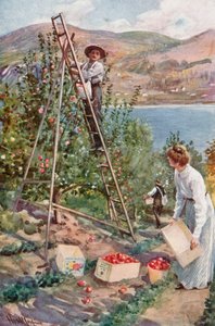 Um rancho de frutas em Nelson, British Columbia de Harold Copping