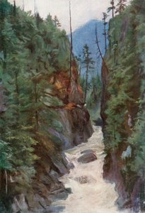 Canyon de Capilano, perto de North Vancouver de Harold Copping