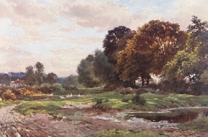 Um canto de Esher Common (litografia a cores) de Harold Sutton Palmer