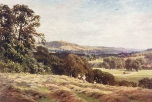 A Hayfield, Wonersh (litografia a cores)
