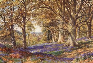 Uma encosta de campainhas, Hascombe (litografia a cores)