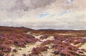 Frensham Common (litografia a cores) de Harold Sutton Palmer