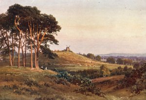 Reigate Heath, à noite (litografia a cores) de Harold Sutton Palmer