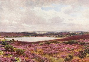 O Grande Lago, Frensham (litografia a cores) de Harold Sutton Palmer
