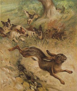 Uma corrida pela vida (cromolitro) de Harrison William Weir