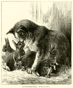 Uma família extraordinária de Harrison William Weir