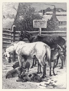 Animais na Libra (gravura) de Harrison William Weir
