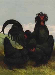 Creve Coeur (chromolitho) de Harrison William Weir