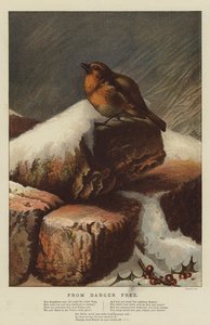 Do perigo livre (chromolitho)