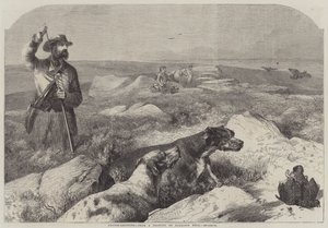 Grouse-Shooting (gravação) de Harrison William Weir