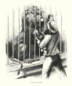 Marinheiro e leão (gravura) de Harrison William Weir