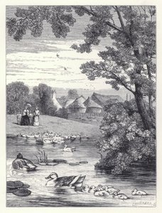 O Lago de Pato (gravura) de Harrison William Weir