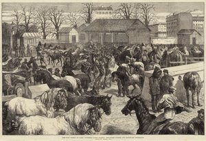 O Abastecimento de Paris, Butchers Horse Market, Boulevard d&39;Enfer e Boulevard Montrouge