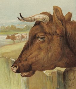 O amigo do berçário (cromolitho)