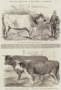 Show da Royal Agricultural Society, em Chelmsford