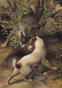 Dois cães tentando chegar a uma piscina de água para beber (chromolitho) de Harrison William Weir