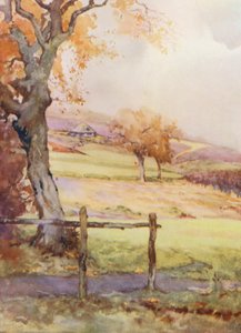 Campos de golfe: Broadstone, o quarto buraco (litografia a cores)