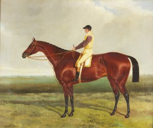 Asa de Abelha (óleo sobre tela) de Harry (attr. to) Hall