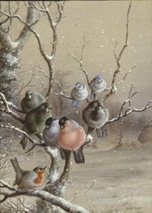 Pássaros num Ramo de Neve