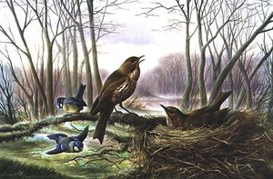 O Arauto da Primavera