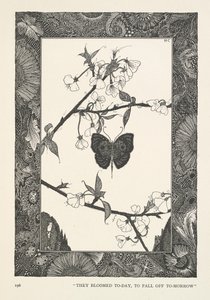 A borboleta. Floresceram hoje, para caírem amanhã. de Harry Clarke