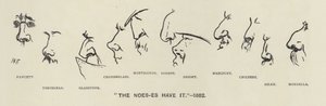 Os Noes-es (ou seja, os narizes dos políticos) têm-no - 1883 (litho) de Harry Furniss