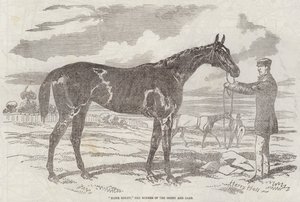 Blink Bonny, o vencedor do Derby e Oaks de Harry Hall