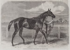 Caller Ou, o vencedor do St Leger de Harry Hall