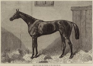 Fille de l&39;Air, o vencedor do The Oaks para 1864