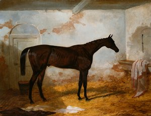 Colt Bay "s Sweetmeat" do Sr. AW Hill em uma caixa solta, 1845 de Harry Hall