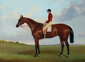 Sra. S. Wrather "s" Nutwith ", com J. Marson Up, 1843 de Harry Hall