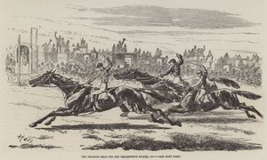 O calor decisivo para as paradas de Cesarewitch, 1857