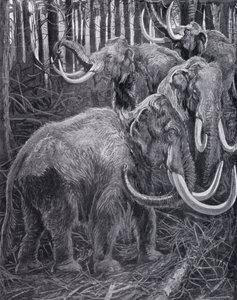 Mamutes (litho) de Harry Hamilton (after) Johnston