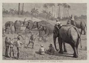 Um elefante Pooay na Alta Birmânia de Harry Hamilton Johnston