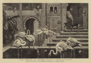 Os animais de estimação de um palácio oriental, um estudo da Tunísia de Harry Hamilton Johnston