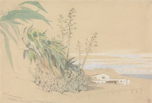 Aloes and Prickly Pears, Tarragona, Espanha