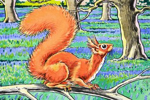 Esquilo vermelho de Harry M. Pettit