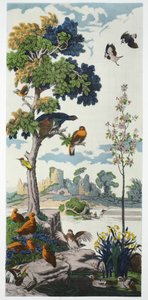 Magnum Opus: Capercailzie, pub. 1933 de Harry Wearne