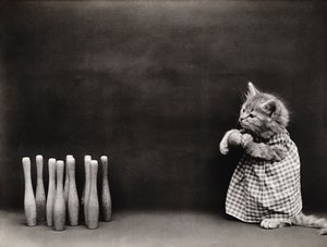 Série Kitties: Bowling, c.1914 (impressão a prata)