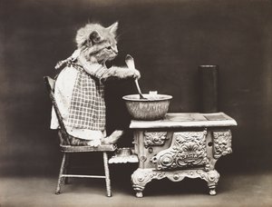 Série Kitties: Cozinheiro no fogão, c.1914 (gravura em prata)