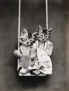 Série Kitties: Num Baloiço, c.1914 (impressão a prata)