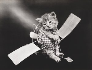 Série Kitties: Piloto de avião, c.1914 (impressão a prata)