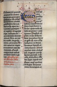 Livro do Evangelho com Retratos Evangelistas: Inicial Decorada, c. 1480 de Hausbuch Master