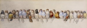 A Poleiro dos Pássaros, c.1880 (aquarela e grafite sobre papel)