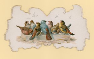 Pássaros (cor litho) de Hector Giacomelli