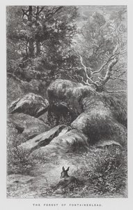 O inseto: A Floresta de Fontainebleau (gravura) de Hector Giacomelli