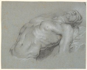 Torso do modelo masculino fortemente reclinado