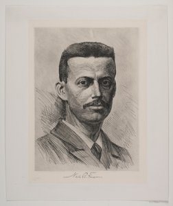 Niels R. Finsen de Heinrich Dohm