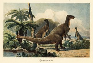 Iguanodon bernissartensis em uma floresta pré-histórica de samambaias.